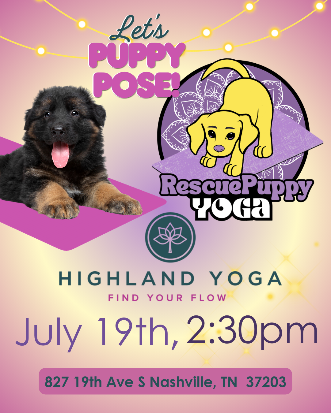 Rescue Puppy Yoga - Highland Yoga Nashville