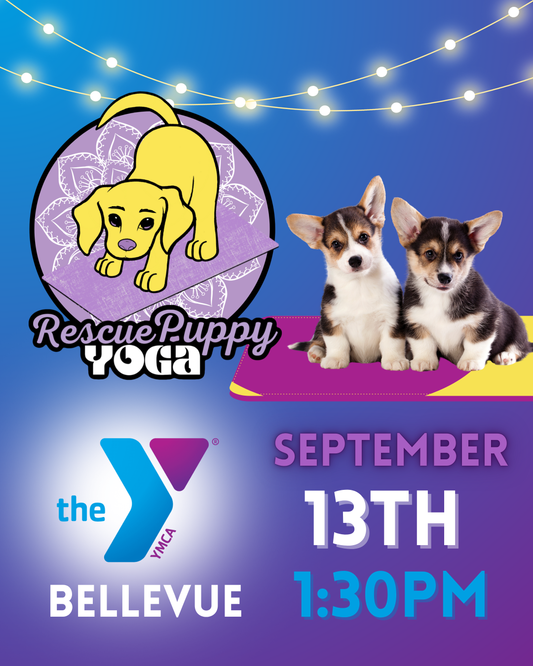 Rescue Puppy Yoga - Bellevue YMCA