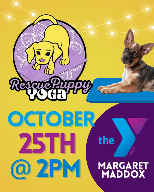Rescue Puppy Yoga - Margaret Maddox Family YMCA East Center