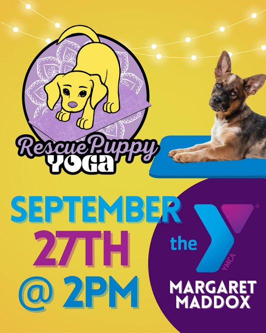 Rescue Puppy Yoga - Margaret Maddox Family YMCA East Center