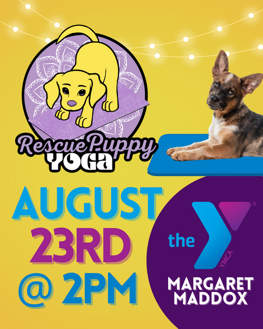 Rescue Puppy Yoga - Margaret Maddox Family YMCA East Center