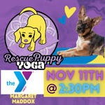 Puppy Yoga - Margaret Maddox Family YMCA East Center