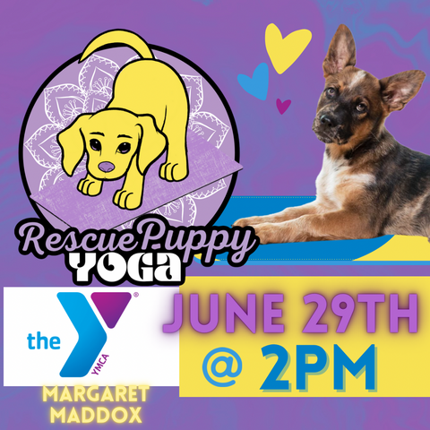 Rescue Puppy Yoga - Margaret Maddox Family YMCA East Center