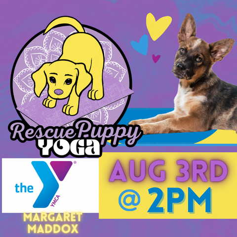 Rescue Puppy Yoga - Margaret Maddox Family YMCA East Center