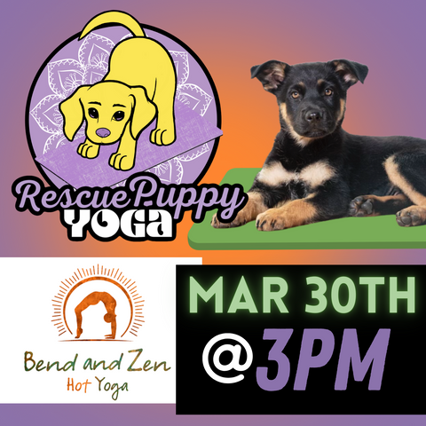 Puppy Yoga - Bend and Zen Nashville