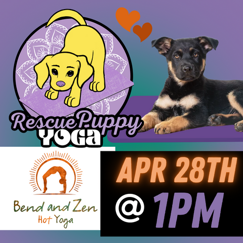 Puppy Yoga - Bend and Zen Nashville