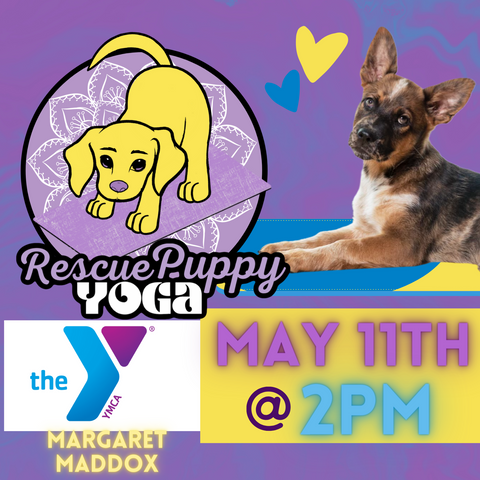 Puppy Yoga - Margaret Maddox Family YMCA East Center