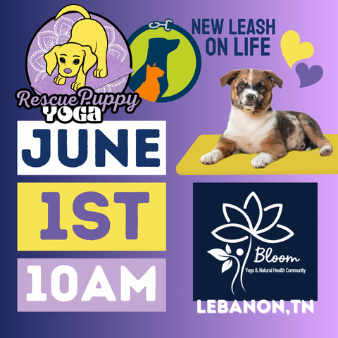 Puppy Yoga - Bloom Yoga - Lebanon, TN
