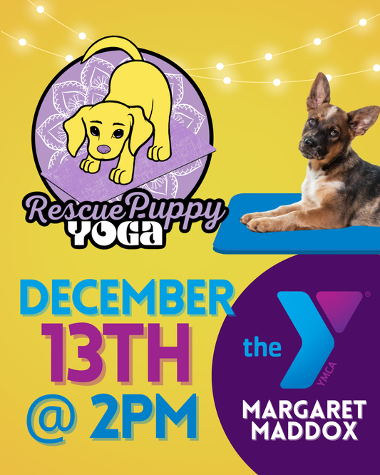 Rescue Puppy Yoga - Margaret Maddox Family YMCA East Center