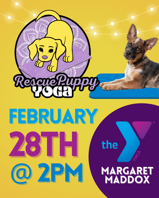 Rescue Puppy Yoga - Margaret Maddox Family YMCA East Center