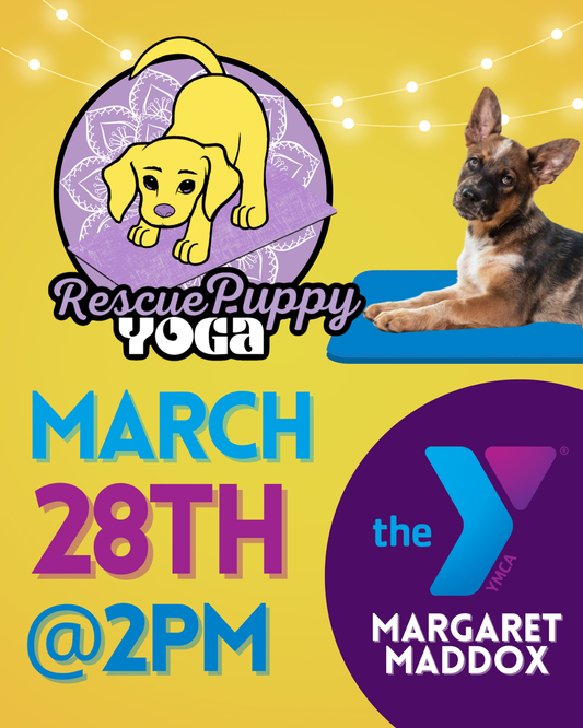 Rescue Puppy Yoga - Margaret Maddox Family YMCA East Center