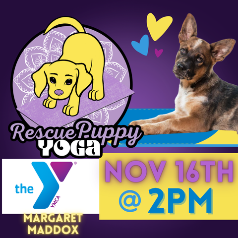 Rescue Puppy Yoga - Margaret Maddox Family YMCA East Center