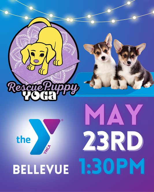Rescue Puppy Yoga - Bellevue YMCA