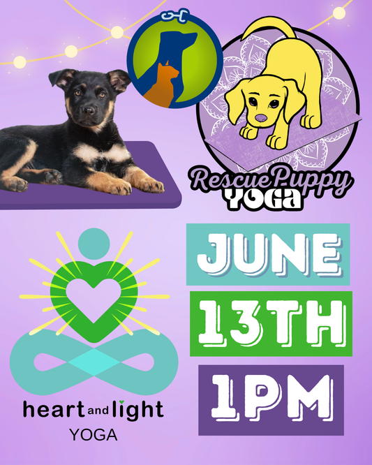 Rescue Puppy Yoga - Heart and Light Yoga - Old Hickory, TN