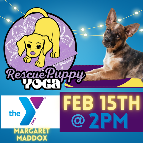 Rescue Puppy Yoga - Margaret Maddox Family YMCA East Center