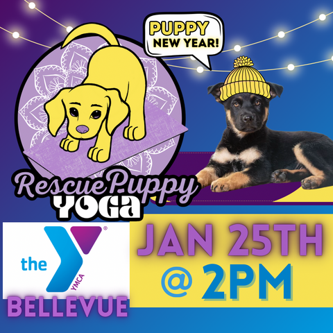 Rescue Puppy Yoga - Bellevue YMCA Nashville