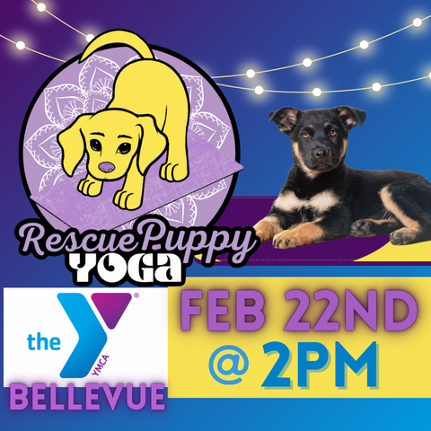 Rescue Puppy Yoga - Bellevue YMCA Nashville