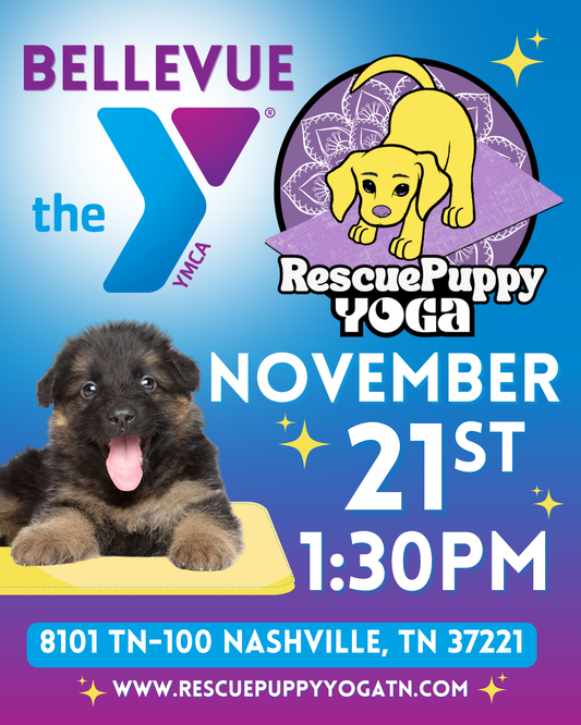 Rescue Puppy Yoga - Bellevue YMCA