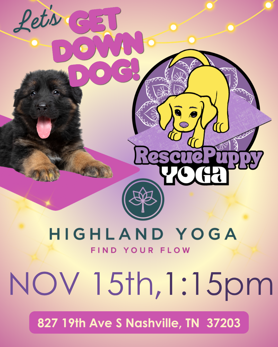 Rescue Puppy Yoga - Highland Yoga Nashville