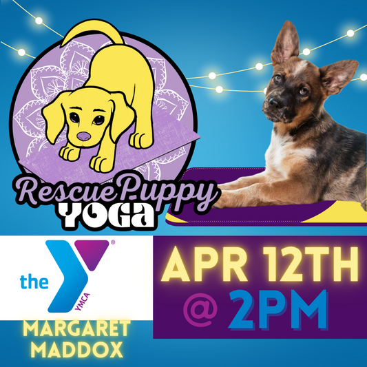 Rescue Puppy Yoga - Margaret Maddox Family YMCA East Center